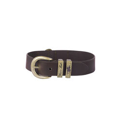 Twin Keeper Dog Collar