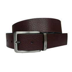 Reversible Belt