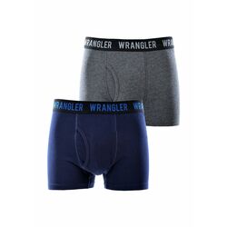 Trunks  Mens Dan Trunk  Twin Pack