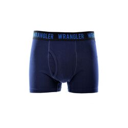 Trunks  Mens Dan Trunk  Twin Pack